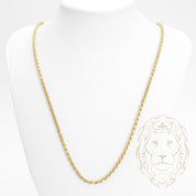 Chaîne - Or 10K jaune torsade solide 2.9mm - CHG801