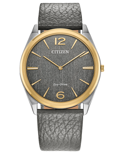 Citizen Suratto AR3124-07H