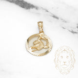 Pendentif - Or 10K jaune zodiaque Scorpion coupe diamant - PEG830