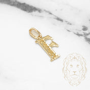 Pendant - 10K Yellow Gold "F" Swirl & Diamond Cut - PEG432