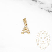 Pendant - 10K Yellow Gold "A" mini cz pavement - PEG453