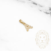 Pendant - 10K Yellow Gold "A" mini cz pavement - PEG453