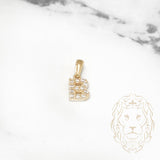 Pendentif - Or 10K jaune "B" mini pavé cz - PEG454