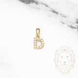 Pendentif - Or 10K jaune "D" mini pavé cz - PEG456