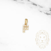 Pendant - 10K Yellow Gold "F" Mini Pave Cz - PEG458