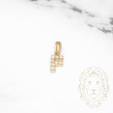 Pendentif - Or 10K jaune "F" mini pavé cz - PEG458