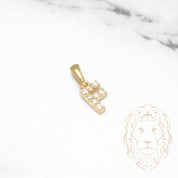 Pendant - 10K Yellow Gold "F" Mini Pave Cz - PEG458