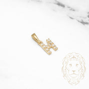 Pendant - 10K Yellow Gold "H" Mini Cz Pavement - PEG460