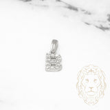 Pendentif - Or 10K blanc "B" mini pavé cz - PEG480