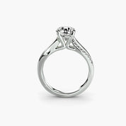 The Split Shank Pavé Solitaire