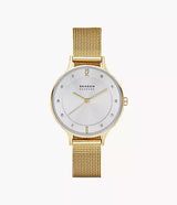 Skagen Grenen Classique Cuir Brun - SKW2150