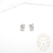 Studs - Argent pierre AAA coupe ronde 1.00TCW / 5mm - BOS386