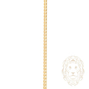Chaîne - Or 10K jaune curb 2.2mm - CHG1294