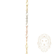 Chaîne - Or 10K tricolor jaune, blanc & rose paillettes coupe diamant & rolo 2.5mm - CHG1299