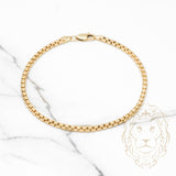 Bracelet - 10K Yellow Gold Box Links 2.5mm 7.5" - BRG450