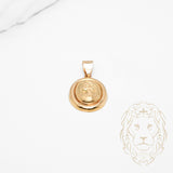 Pendentif - Or 18K jaune - PEG898