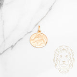 Pendentif - Or 10K jaune solide - PEG915