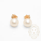 Studs - Or 14K jaune perle d'eau douce 5.5-6mm - BOG1057