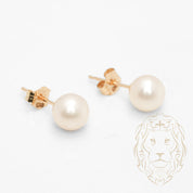 Studs - Or 14K jaune perle d'eau douce 5-5.5mm - BOG1056