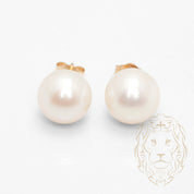 Studs - Or 14K jaune perle d'eau douce 8-8.5mm - BOG1062
