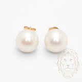Studs - Or 14K jaune perle d'eau douce 9-9.5mm - BOG1064