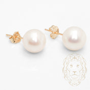 Studs - Or 14K jaune perle d'eau douce 8-8.5mm - BOG1062