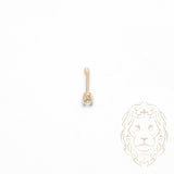 Piercing de nez - Or 10K jaune pierre cz 2mm - BCG016