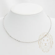 Chain - 10K white gold cable diamond cut 2.7mm - CHG531