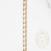 Chain - 10K gold curb squares 3.7mm - CHG572