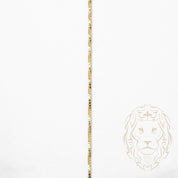 Chaîne - Or 10K jaune boîte twist 0.75mm - CHG580