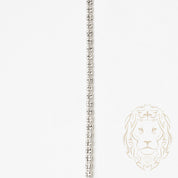 Chain - Ice white 10K gold 2.5mm - CHG593