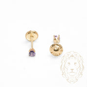 Studs to screw - 10K gold yellow birthstone from february cz - BOG735
