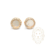 Studs - Or 10K jaune cercle en nacre pavé de cz - BOG763