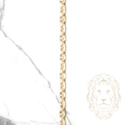 Chain - 14K gold solid anchor 4.6mm - CHG621