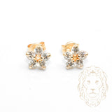 Studs - Or 10K jaune fleur en pierres cz - BOG783