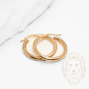 Hoops - Polished Yellow 10K Gold 3mm X 20mm - BOG792