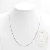 Chaîne - Or 10K blanc franco 2mm - CHG815