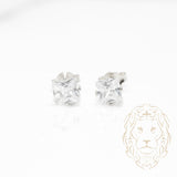 Studs - Or 10K blanc zircone cubique coupe princesse 0.05PTS / 3mm - BOG852