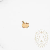 Pendentif - Or 10K jaune pomme - PEG651