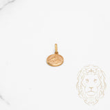 Pendentif - Or 10K jaune pièce de baptême - PEG653