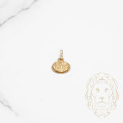 Pendentif - Or 10K jaune pièce de baptême coupe diamant - PEG654