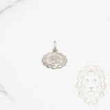 Pendentif - Or 10K blanc médaillon Jésus - PEG658