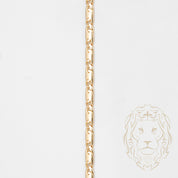 Chaîne - Or 14K jaune snail solide 4mm - CHG683