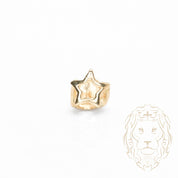 Grillz – 1 Dent Or/Argent– Window en Forme d’Étoile – Poli Miroir