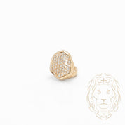 Grillz – 1 Dent en or – Pavé Diamants