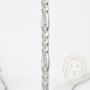 Chaîne - Argent figaro medusa 5.5mm - CHS482