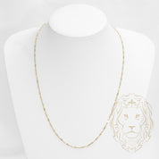 Chaîne - Or 10K jaune singapour 2mm - CHG717