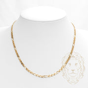 Chaîne - Of 14K jaune figarucci 3.6mm - CHG733