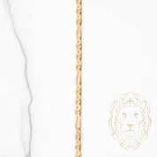 Chaîne - Of 14K jaune figarucci 3.6mm - CHG733