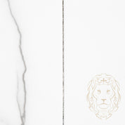 Chaîne - Or 18K blanc bullet 0.8mm - CHG736